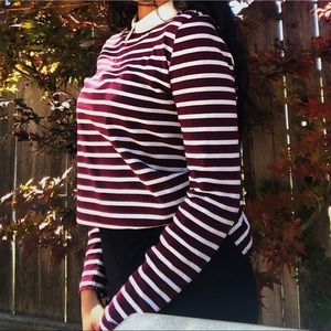 Burgundy and white striped pilgrim collared top